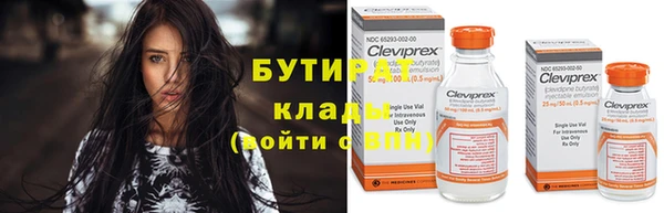 индика Новозыбков