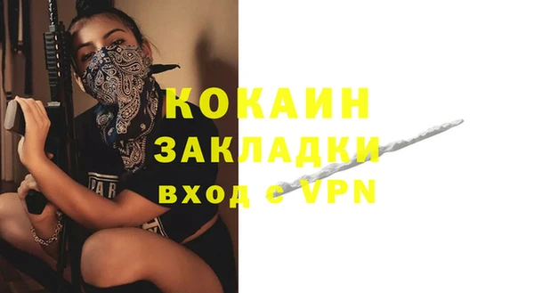 индика Новозыбков
