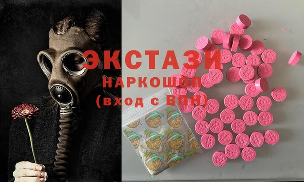 индика Новозыбков