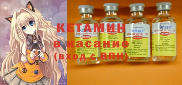 индика Новозыбков