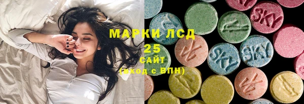 прущие грибы Алексеевка
